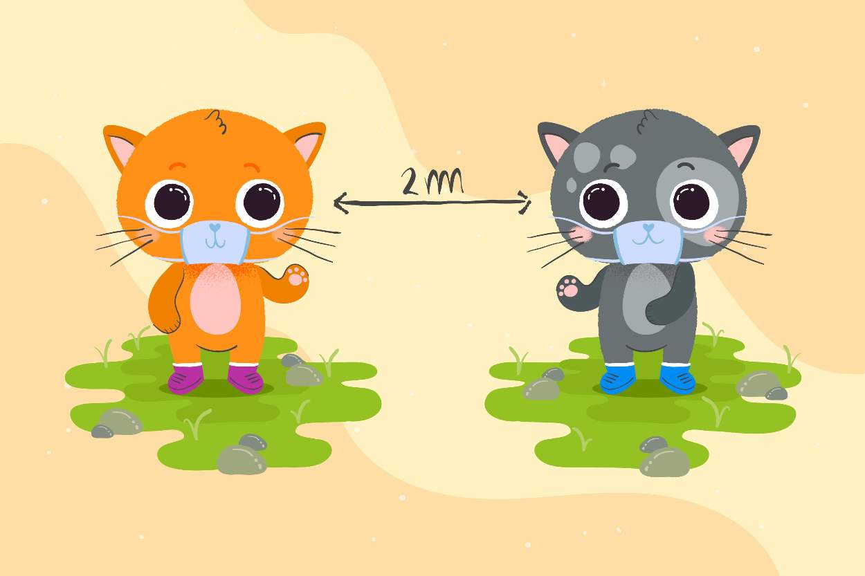 Trapping the Cat Game