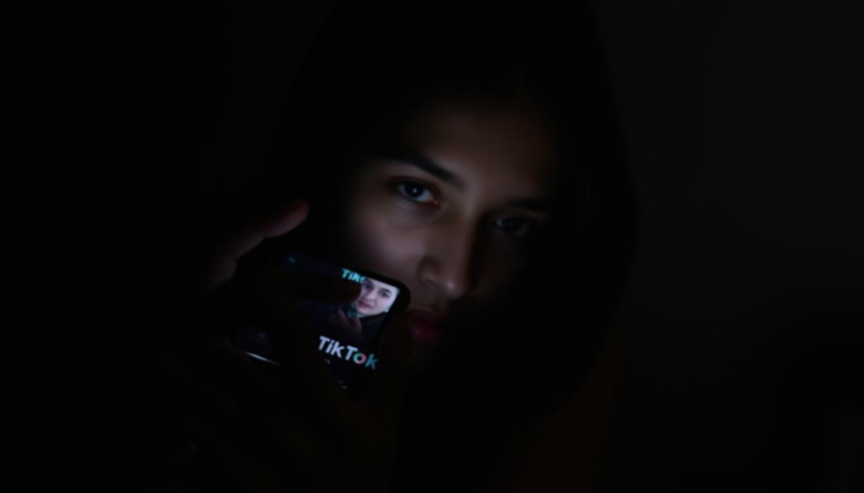Discreetly View Private TikTok Videos with Our App