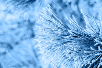 winter colour palette