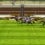 ihorse racing