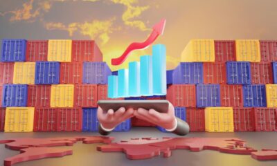 Why Supply and Demand Drive Fluctuations in the CS2 Market