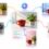 Creating Multiple Versions Of A Single Image With AI Tools